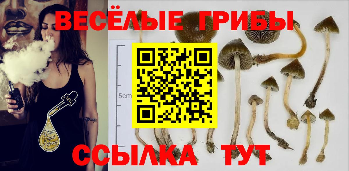 Галлюциногенные грибы MAGIC MUSHROOMS Саров